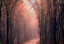 征途国际:费迪南德:人生第一双球鞋是二手的,希望年轻人都有装备踢球.