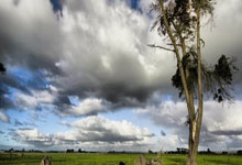 征途国际:首次无缘季后赛 周鹏18年辉煌纪录告终.