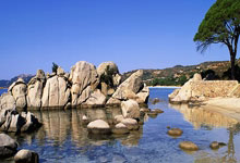 征途国际:于金永临危受命登场 泰山主场平河南.